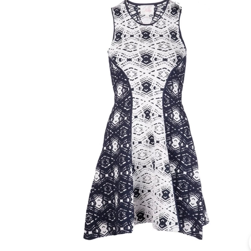 NWT PARKER NAIMA KNIT JACQUARD SKATER DRESS XS